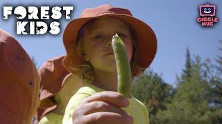 Growing Up | Forest Kids (7-Minutes of Nature & Learning for Kids!)