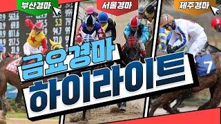 [금요경마] 2025년5월9일(부산/제주결과) 하이라이트!! 오늘의 최고배당은?#부산경마#제주경마#경주영상