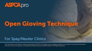 Spay/Neuter Surgery: Open Gloving Technique