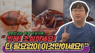 현직 의사가 알려주는 빈대에 물렸을때부터 퇴치방법까지 모든 것 A to Z