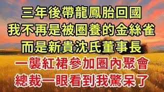 《太太，帶龍鳳胎回國了！》續集03，三年後帶龍鳳胎回國，我不再是被圈養的金絲雀，而是新貴沈氏董事長，一襲紅裙參加圈內聚會，總裁一眼看到我驚呆了！