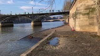 Polluted Seine River and Trash on River Banks Paris