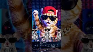 Rap Cat & DJ Parrot with Dancing Mice – Ultimate Studio Jam