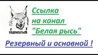 Хакеры разломали канал "Белая рысь"