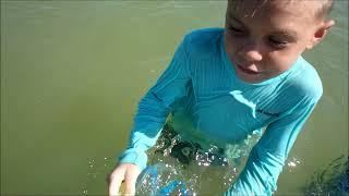 TJ Adventures: Ft. Myers sand dollar hunting