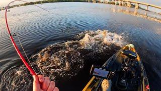 River Monster Time! Crazy Battle As Big Fish Crashes Into Kayak!