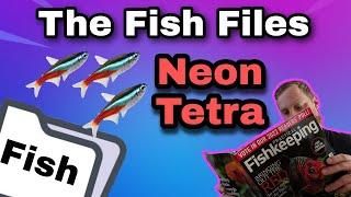 Fish-File The Neon Tetra