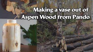 Making a vase out of aspen wood from (near) Pando