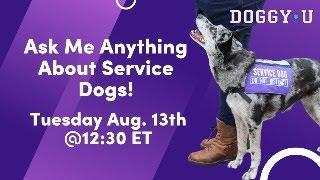 Ask Me Anything About Service Dogs