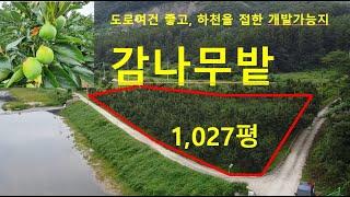 (11011) 매매(토지,농지), 상주시 화서면 감나무밭 1,027평, #상주복돼지부동산#복돼지공인중개사#상주복돼지