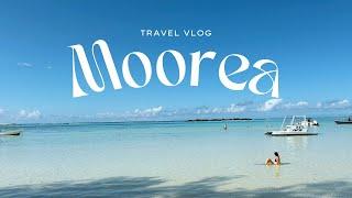 Is This Paradise? Exploring Moorea, French Polynesia | Travel Vlog