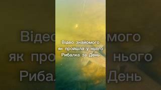 #fishing #спінінг #shortsfishing #fish #рибалка #сом