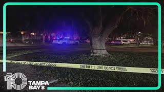 Deputies investigating murder-suicide in New Tampa