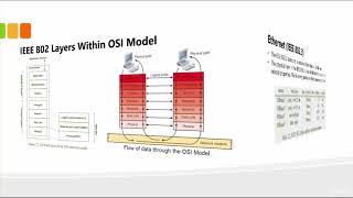 IEEE 802 Standards  Ethernet networking - Ethernet standards