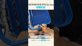 내 안에 빼곡하게 피어나는 blue 3단 트롤리  #트롤리 #3단트롤리 #트롤리추천 #수납템 #수납템추천 #생활팁 #리빙픽