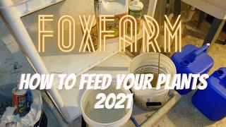 How To Feed Your Plants (2021) | Using Foxfarm Nutrients