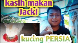 GREBEK JACKI KUCING PERSIA // VLOG NDESO.....