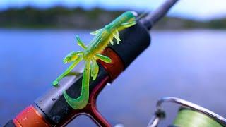 Is this the BEST Creature Bait? Daiwa Risky Critter Review