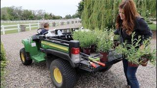 多年生植物ガウラの植え付けとツゲの育成！️// ガーデンアンサー