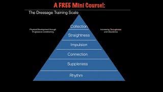 The Dressage Training Scale: A FREE Mini Course