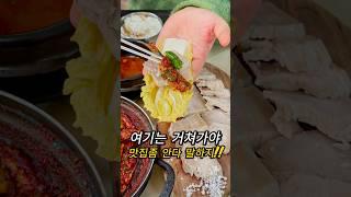 제주도 찐찐찐 로컬맛집!! #제주도맛집 #제주도맛집추천 #제주핫플 #항정국맛집 #돔베고기맛집지 #제주돔베고기 #제주도가볼만한곳 #구제주맛집 #제주도도민맛집 #제주도로컬맛집