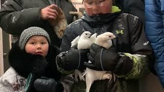 My cousin's son coming in with 2 Ptarmingan's he caught with his bear hands.