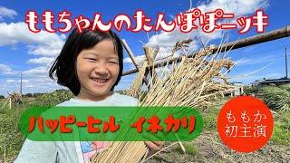 たんぽぽランド【新企画】ももちゃんのたんぽぽ日記　第1話「いねかり」篇　スーパー小学生また現る！