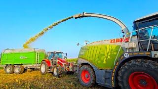 Maissilage startet mit Massey Ferguson 5S.115 & Jaguar 960 & Deutz AGRO XTRA 4.57 & Steyr 4115