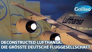 Deconstructed Lufthansa: Überflieger oder noch Luft nach oben?