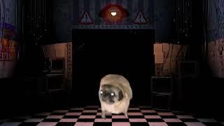 pug bailando la canción de puppet