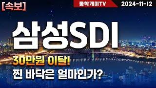 삼성SDI-30만원 이탈! 찐 바닥은 얼마인가?