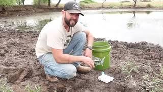 Blue-Green Algae Pond Test Kit (pond water quality test)