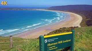 The Catlins New Zealand Walking Tour 4K | Nugget Point - Purakaunui Falls - Mclean Falls - Curio Bay