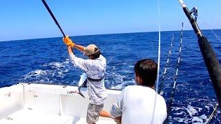 FOUR HOURS Offshore Fishing WAHOO, TUNA, MAHI