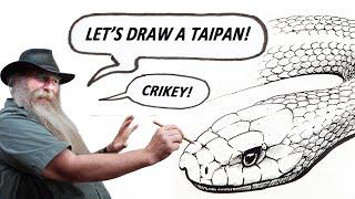 HOW TO DRAW A TAIPAN (Intermediate to Advanced)