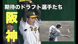 【阪神2020年新人選手】誰が一番早く１軍の切符を手に入れられるか。楽しみな選手ばかりの19年度ドラフト