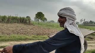 ganne ke khet me jutai
