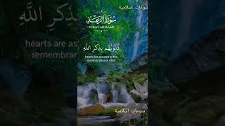 قرآن كريم/منوعات اسلامية