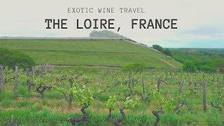 French Wine: Exotic Wine Travel In The Loire