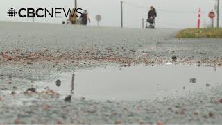 How Prince Edward Islanders are coping with a wet, dreary November