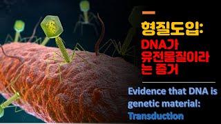 [Food Microbiology] Transduction