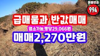 경북땅 시골땅 염소 가능 땅 급매물 과 반값매매 평당 29,066원,12,762,000원 급다운 급매물 농막 건축 체류형쉼터 OK 산 골 땅 산촌생활 삼면 산 속 골 막장