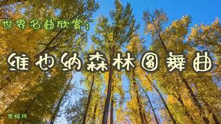 维也纳森林圆舞曲。世界名曲欣赏