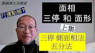 面相 三停和面形  上  |三停 側面 面形 五分法 五行面相 ｜有無運行睇面形｜劉鎮鋒生活頻道