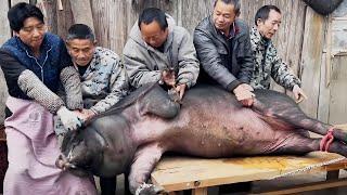 From Pig To Pork China’S Traditional Pig Slaughtering Customs