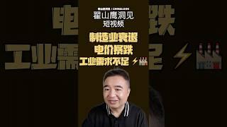翟山鹰：“电 白给用！制造业衰退：电价暴跌，工业需求不足 ” #翟山鹰洞见 #翟山鹰