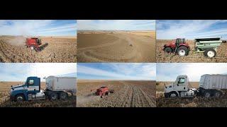 2024-10-27 - FPV Drone Music Video - Milo Harvest - Alan Mues Farm - Stagemeyer Farms - Holbrook, NE