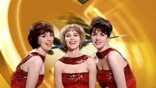 The Vernons Girls  -  Lover Please (1962)