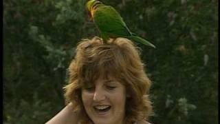 Aviary - The Adventures of Traveling Matt - Fraggle Rock - The Jim Henson Company