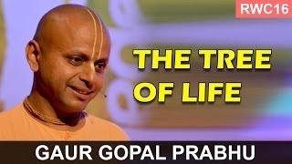 The Tree of Life - Gaur Gopal Prabhu at the RWC16